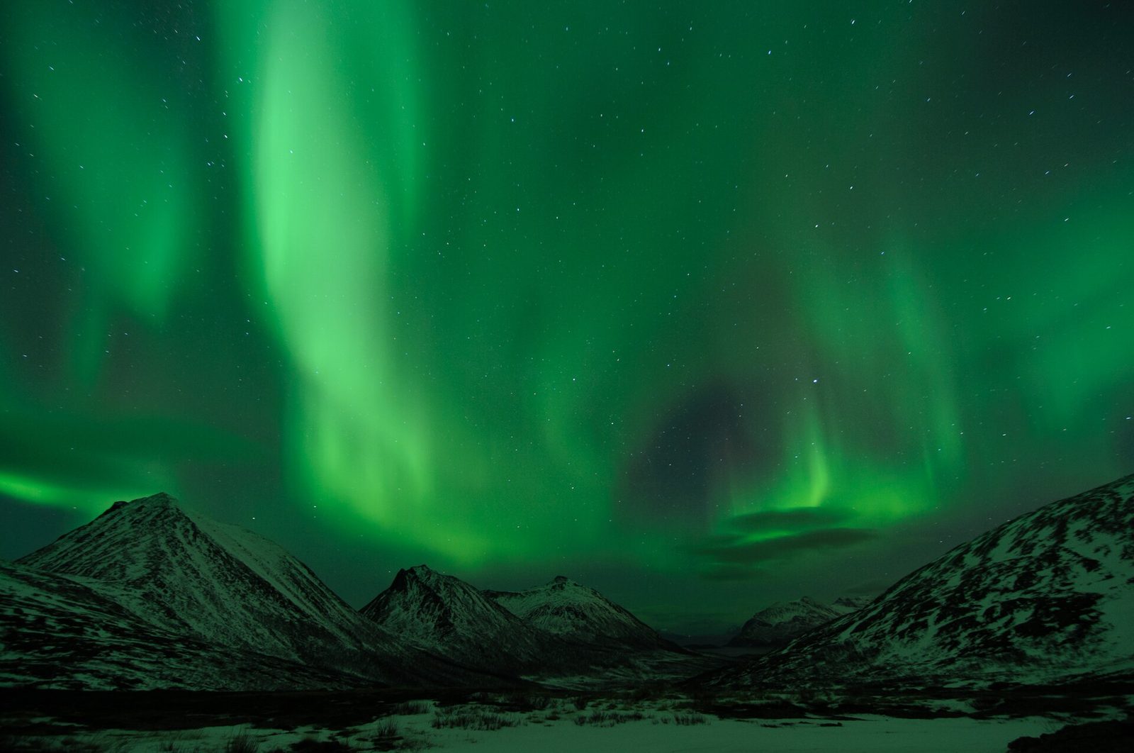 Tromsø Arctic week: huskies, whales & auroras